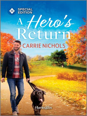 cover image of A Hero's Return